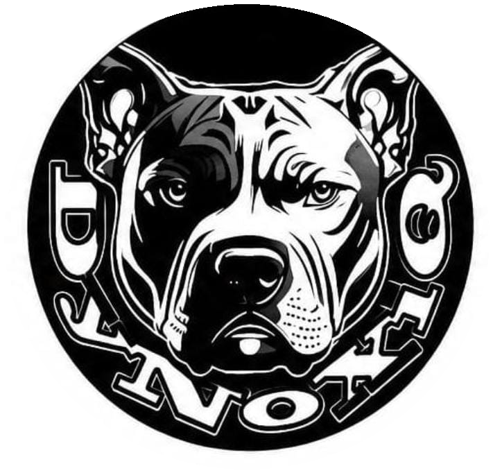 Logo de DJ DyNoXiQ